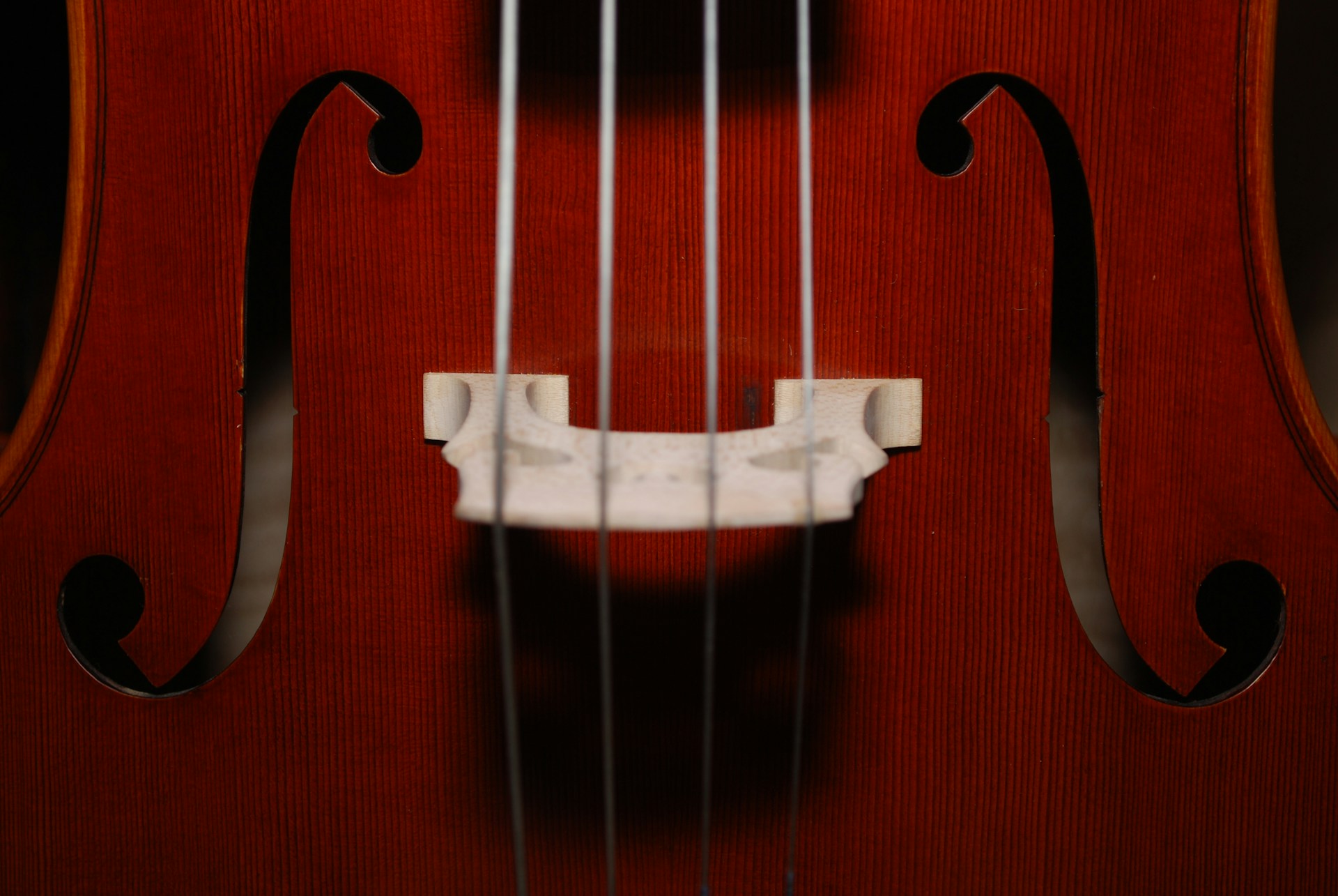 zach-doty-h79mqiSg0GQ-unsplash